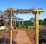 Lavendale Farmstay  Cottages York - Perths Hotel