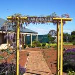 Lavendale Farmstay & Cottages York - Perths Hotel 0