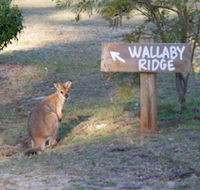 Wallaby Ridge Retreat - Perths Hotel