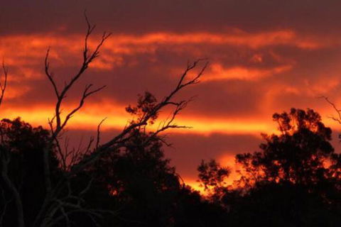 Launceston Bed & Breakfast Retreat - Perths Hotel 7