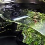 Mudstone Spa Retreat - Perths Hotel 1