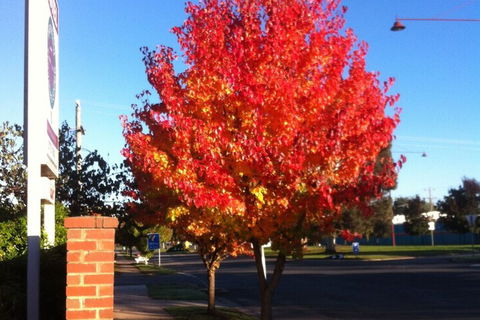 Mansfield Traveller's Lodge - Perths Hotel 2