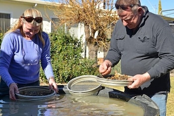 Fossicker Caravan Park - Perths Hotel 1