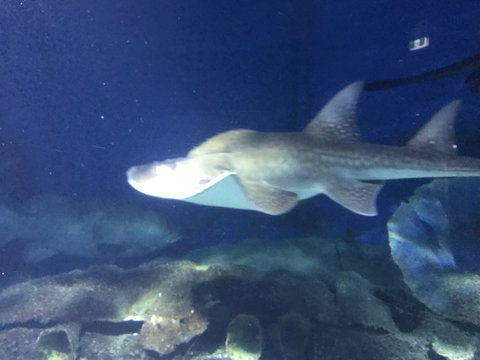 Spacious Seaviews - Perths Hotel 5