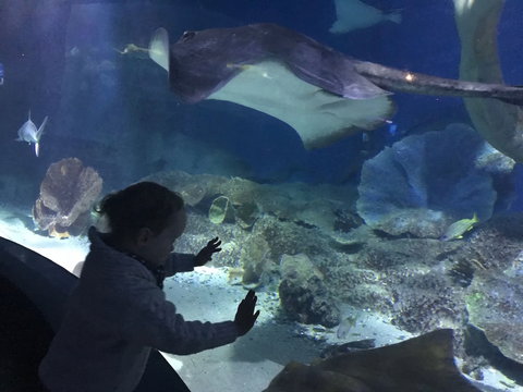 Spacious Seaviews - Perths Hotel 4