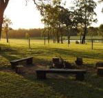 Wallaby Cottage cute Accom in bushland setting - Perths Hotel