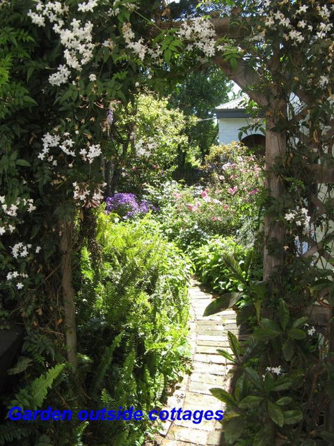 The Grove Cottages - Perths Hotel 3