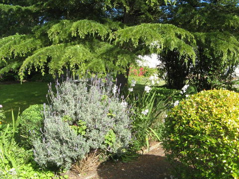 The Grove Cottages - Perths Hotel 7