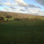 Mancuso Country Cottage Retreat - Perths Hotel 0