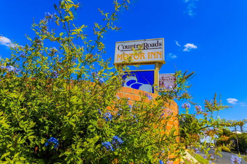 Country Roads Motor Inn Naracoorte - Perths Hotel 3