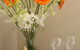 Travillas - thumb 6