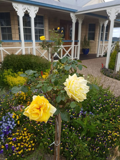 Grovely House Bed & Breakfast - Perths Hotel 3