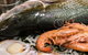Fat Dumpling - thumb 2