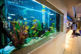 Pambula Beach Restaurants and Takeaway Perths Hotel Perths Hotel