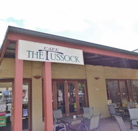 Serrated Tussock Cafe