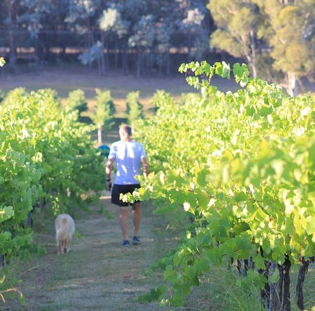 Tallagandra Hill Winery - Perths Hotel 0