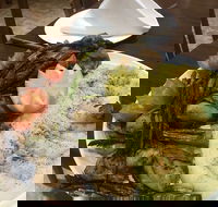 Yummy Yalla Restaurant - Perths Hotel