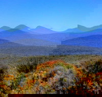 Arcadia Wines - Perths Hotel