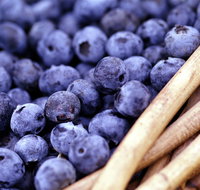 Drum Drum Blueberry Farm