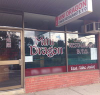 Mini Dragon