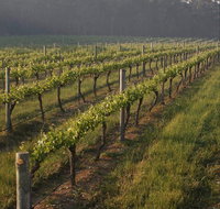 Cape Grace Wines