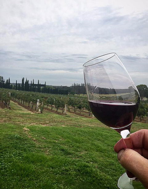 Lake's Folly Vineyard - Perths Hotel 2