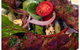 Bamboo Hut Bistro - thumb 0