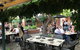 Vine And Tap - thumb 1