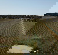 Wine in a Glass - Perths Hotel