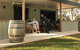 Barham Vines - thumb 1