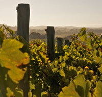 Wimbaliri Wines