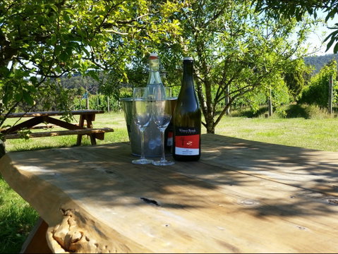 Winter Brook Vineyard - Perths Hotel 1