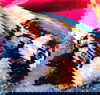 Donut King - Northcote - Perths Hotel