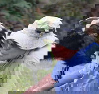 Providence Vineyards - Perths Hotel