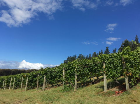Freycinet Vineyard - Perths Hotel 0