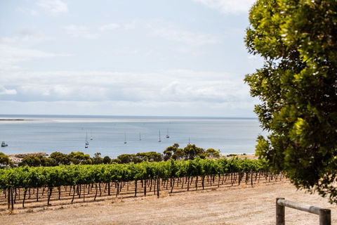 Bay Of Shoals Wines - Perths Hotel 2