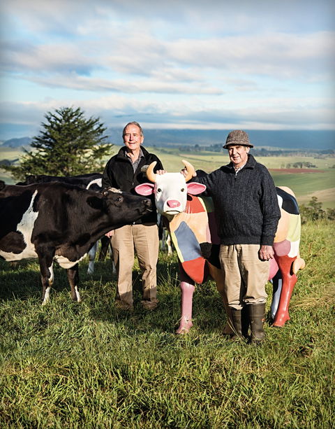 Ashgrove Farm Cheese - Perths Hotel 1