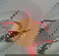 Indian Garden Restaurant - Perths Hotel