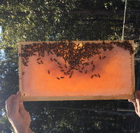 Clayridge Honey - Perths Hotel