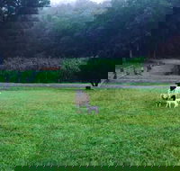 Goat Hill Farm - Perths Hotel