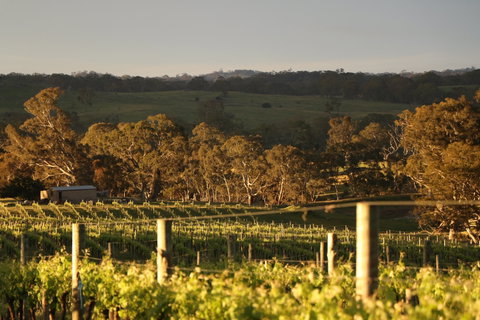 Max & Me Wine Tasting @ Eden Valley Hotel - Perths Hotel 1