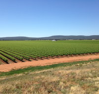 Melange Wines