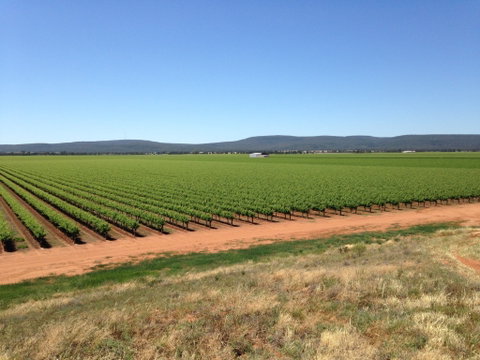 Melange Wines - Perths Hotel 0