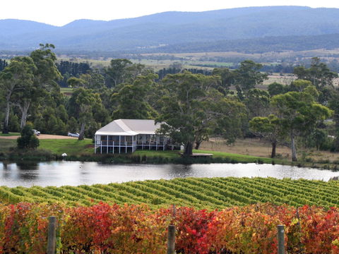 Milton Vineyard - Perths Hotel 0