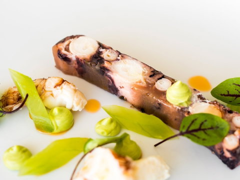The Wild Herring - Perths Hotel 0