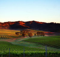 Dalwhinnie Wines