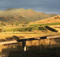Optimiste Wines - Perths Hotel