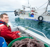 Peninsula Fresh Seafood