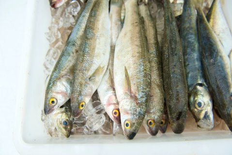 Peninsula Fresh Seafood - Perths Hotel 2