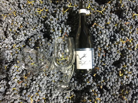 Tobin Wines - Perths Hotel 0